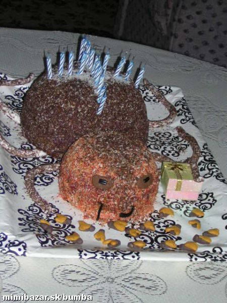 Torta pavuk pre Adku.jpg