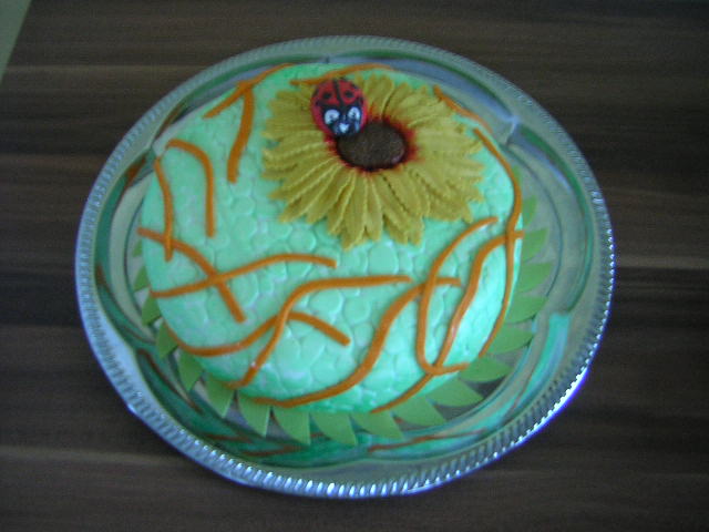DSCN6776.JPG